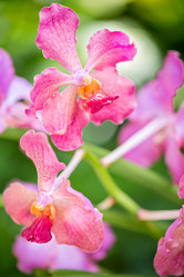 Similar image 8299029