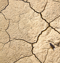 Similar image 8299118