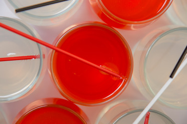 Similar image 8299273