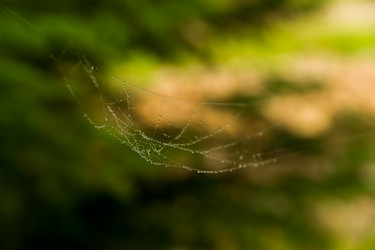 Similar image 8299479