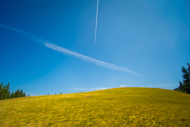 Similar image 8299492