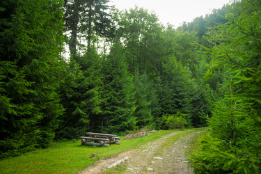 Similar image 8299493