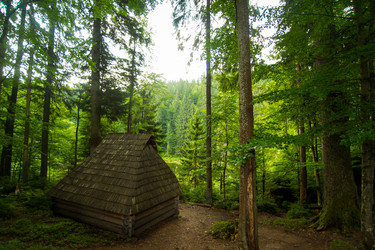 Similar image 8299538