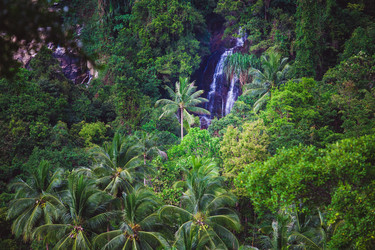 Similar image 8299625