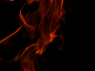 Similar image 8299656