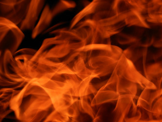 Similar image 8299658