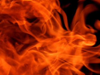 Similar image 8299667