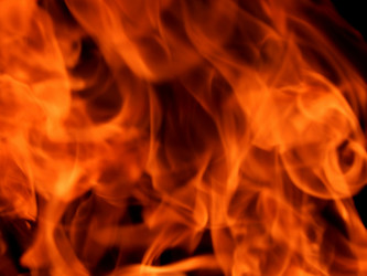 Similar image 8299835