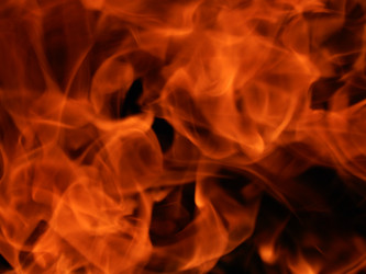 Similar image 8299836