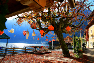 Similar image 8299840