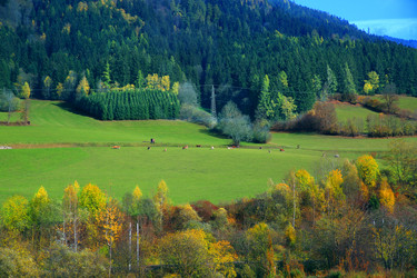 Similar image 8299842