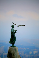 Similar image 8299867