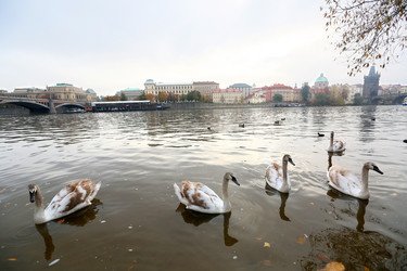 Similar image 8299962