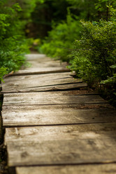 Similar image 8299989