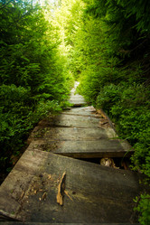 Similar image 8299990