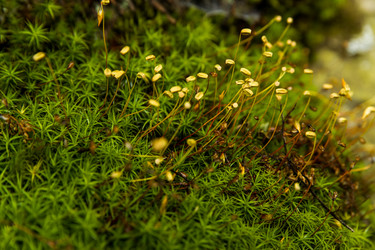 Similar image 8299992