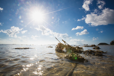 Similar image 8299995