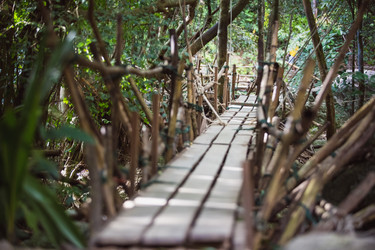 Similar image 8300016