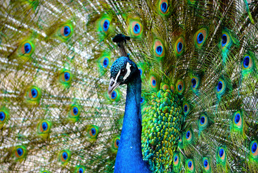 Similar image 8300028