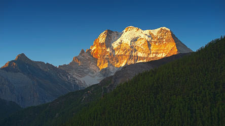 Similar image 8300031