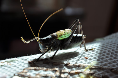 Similar image 8300032