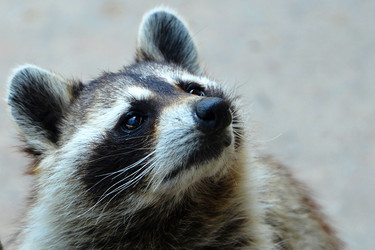 Similar image 8300033