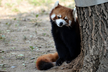 Similar image 8300034