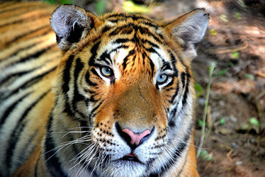 Similar image 8300036