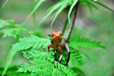 Similar image 8300037