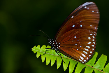 Similar image 8300045