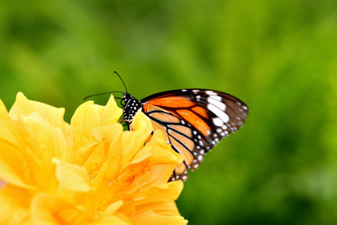 Similar image 8300046