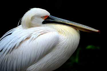 Similar image 8300053