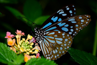 Similar image 8300054