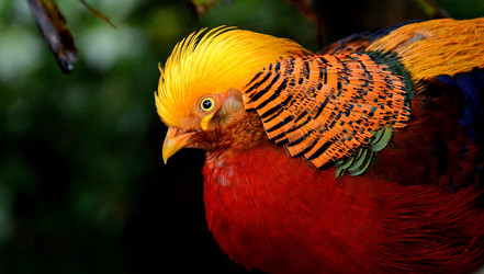 Similar image 8300055