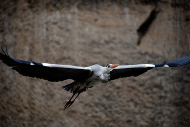 Similar image 8300058