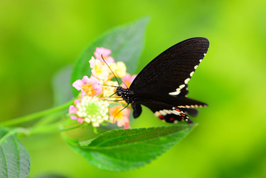 Similar image 8300062