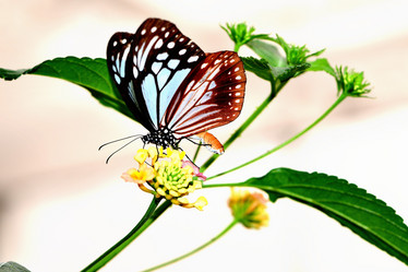 Similar image 8300063