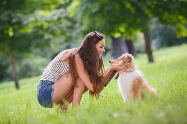 Similar image 8300393