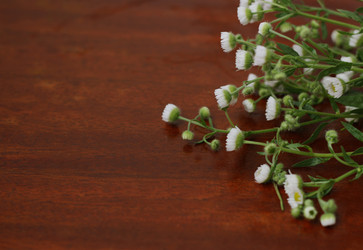 Similar image 8300608