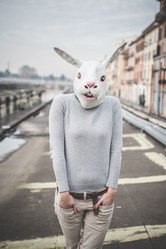 Similar image 8301016