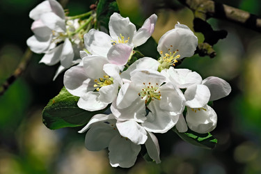 Similar image 8307171