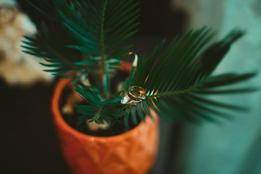 Similar image 8307174