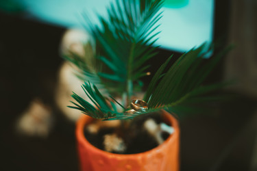 Similar image 8307175