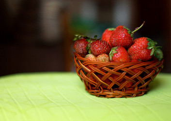 Similar image 8307177