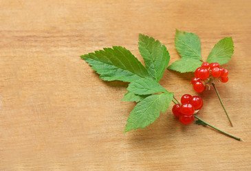 Similar image 8307178