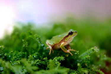 Similar image 8307227