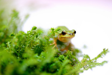 Similar image 8307228