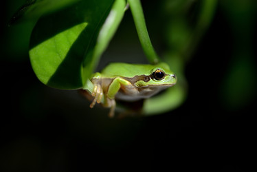 Similar image 8307229