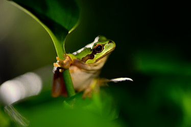 Similar image 8307230