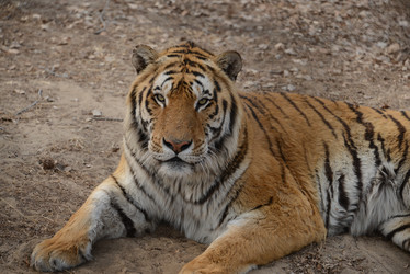 Similar image 8307233